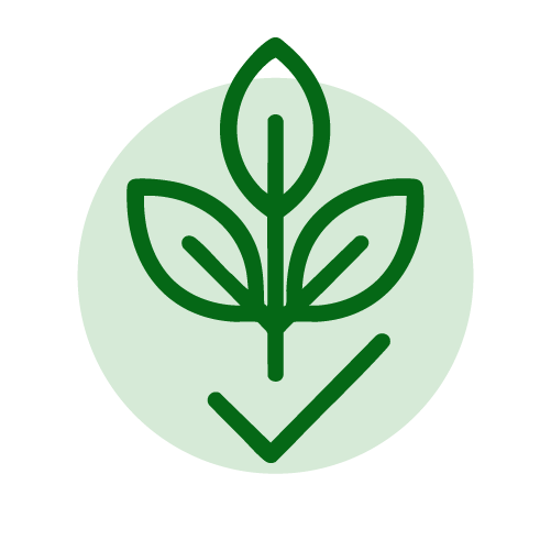Producción bio ecológica 8